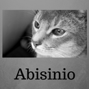 Abisinio APK