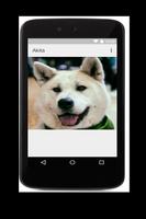 Akita 스크린샷 3