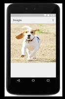 Beagle 스크린샷 3