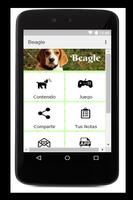 Beagle 포스터