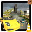 Mania of Sports Car Parking APK