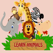 Learn Animals