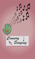Canary singing Affiche