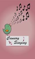 canary singing poster