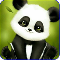 Panda Live Wallpaper