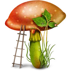 Edible mushroom - Photos XAPK 下載