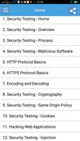 Learn Security Testing Affiche