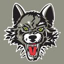 APK Chicago Wolves