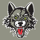 Chicago Wolves أيقونة