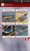 Best Birds Calls & Ringtones-Birds Sounds & Alarm syot layar 1