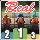 Course de chevaux(&Casino) APK