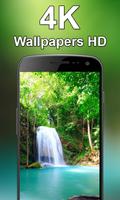 Wallpapers HD & 4K Backgrounds imagem de tela 2
