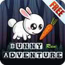 Bunny Run Adventure APK