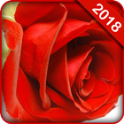 Flowers wallpaper آئیکن