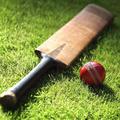 Cricket Prediction
