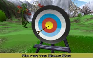 Archery Rei 3D Cartaz