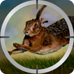 Animals Hunter - Sniper Game 2017