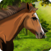 Reiten Abenteuer
