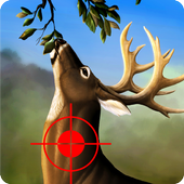 Jungle Deer Hunting Game 2017: Deer Hunting game Mod apk son sürüm ücretsiz indir