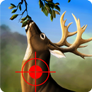 Jungle Deer Hunting Game 2017: Deer Hunting game APK
