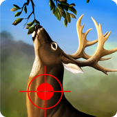 Jungle Deer Hunting 2016 icon