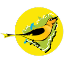 iВолга aplikacja