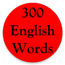 300 English Words APK