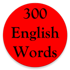 300 English Words-icoon