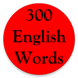 300 English Words icône