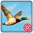 Duck Hunting Shooting Season icon