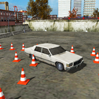 Pk Car Driving License Test أيقونة