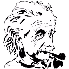 Einstein Puzzle