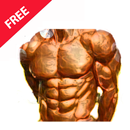 Fit Challenge Home Workouts-APK