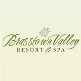 Brasstown Valley icône