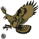 Golden Hawk-APK