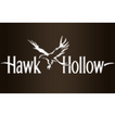 Hawk Hollow and Eagle Eye