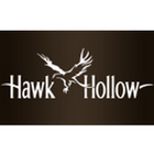 Hawk Hollow and Eagle Eye آئیکن