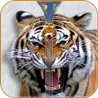 Tiger Zipper verrouillage icône