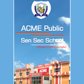 Acme Public School