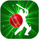 APK Cricket League (BPL, Big bash)