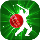 Cricket League (BPL, Big bash) icône