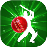 Cricket League (BPL, Big bash) icône