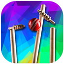 Cric World Cup 2016 APK