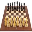 Rapid Chess