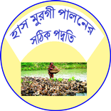 হাস মুরগী পালনের সঠিক পদ্বতি