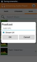 Streaming Player Áudio imagem de tela 2