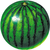 watermelon prober-icoon