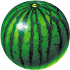 watermelon prober APK