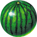 watermelon prober APK