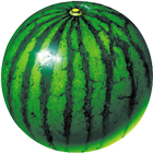 Icona watermelon prober
